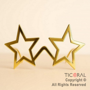 ANTEOJO ESTRELLA ORO x 1